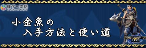 小金魚|【モンハンライズ】小金魚の入手方法と使い道【モンハンライズ。